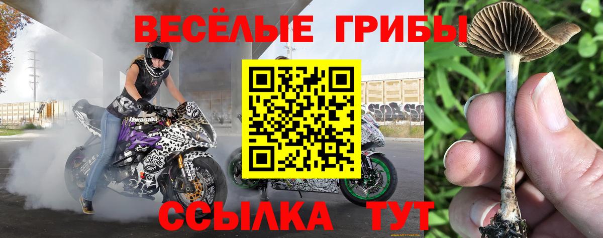 Псилоцибиновые грибы MAGIC MUSHROOMS  Вход с VPN  Ливны 